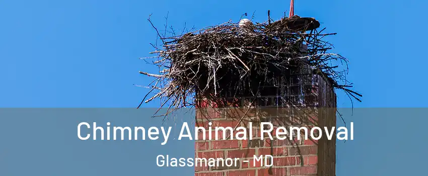  Chimney Animal Removal Glassmanor - MD