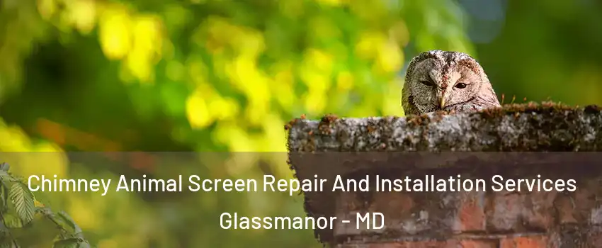  Chimney Animal Screen Repair And Installation Services Glassmanor - MD