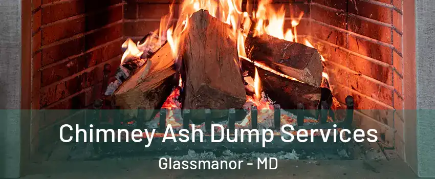  Chimney Ash Dump Services Glassmanor - MD