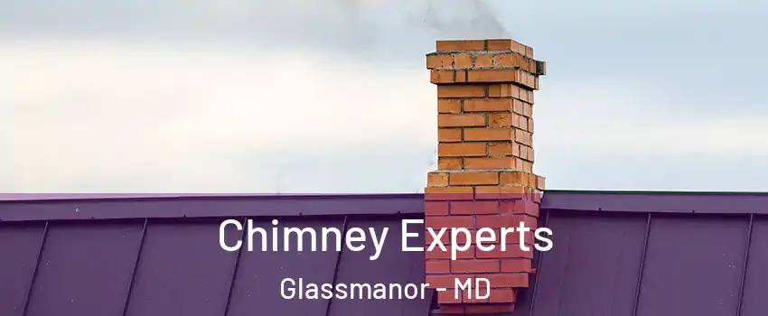  Chimney Experts Glassmanor - MD