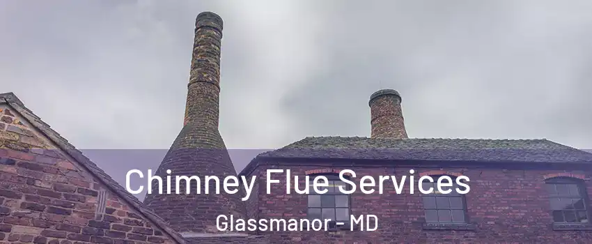  Chimney Flue Services Glassmanor - MD