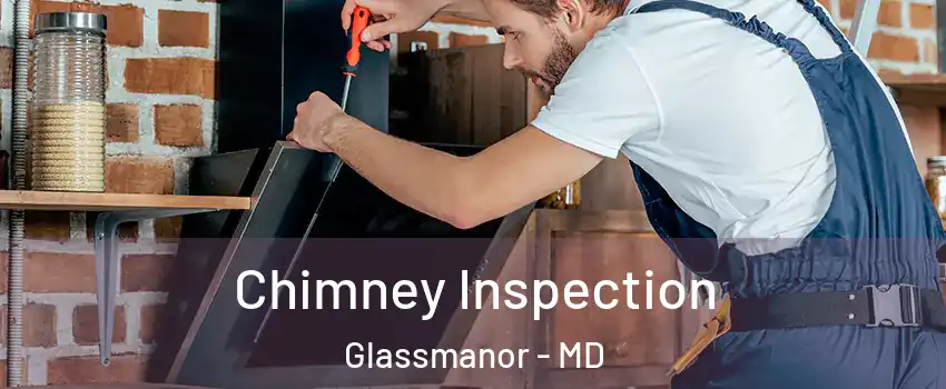  Chimney Inspection Glassmanor - MD