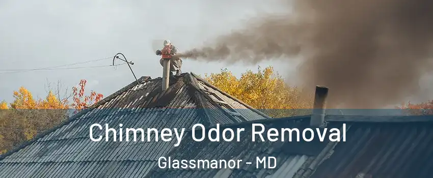  Chimney Odor Removal Glassmanor - MD