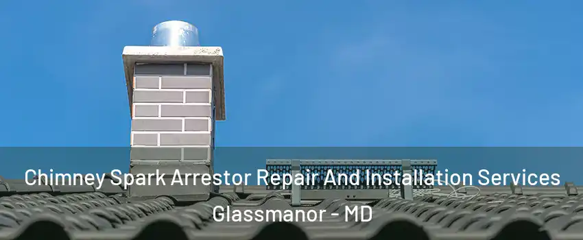  Chimney Spark Arrestor Repair And Installation Services Glassmanor - MD