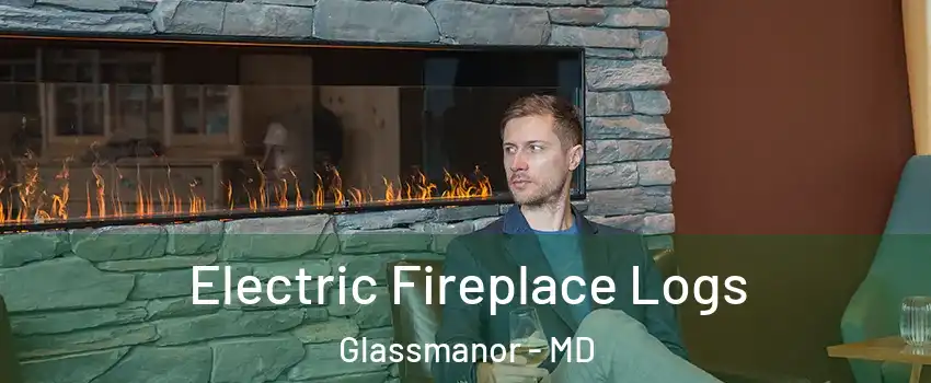  Electric Fireplace Logs Glassmanor - MD