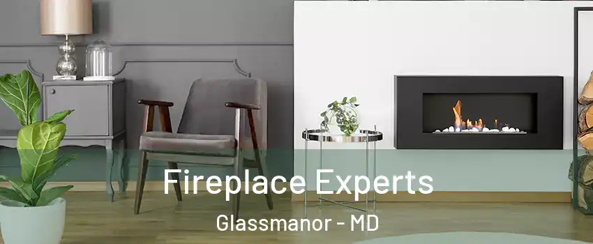  Fireplace Experts Glassmanor - MD