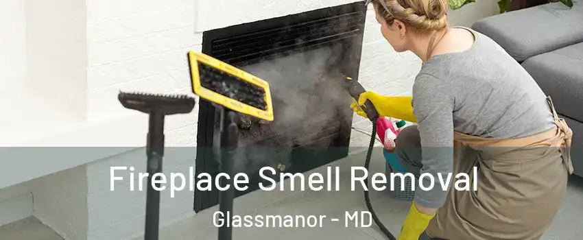  Fireplace Smell Removal Glassmanor - MD