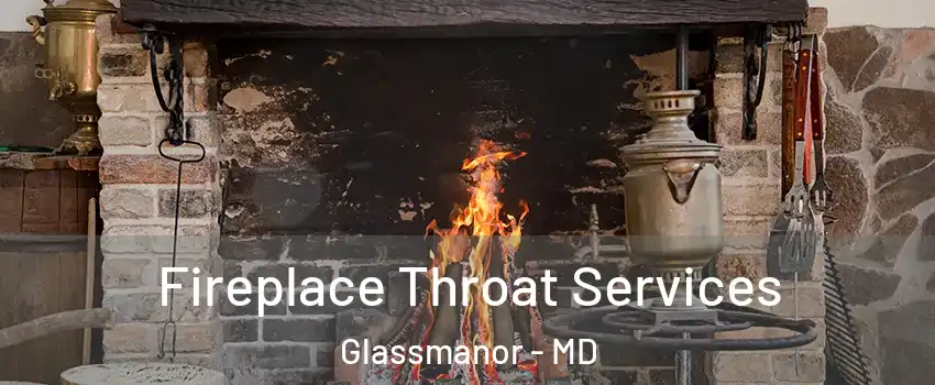  Fireplace Throat Services Glassmanor - MD