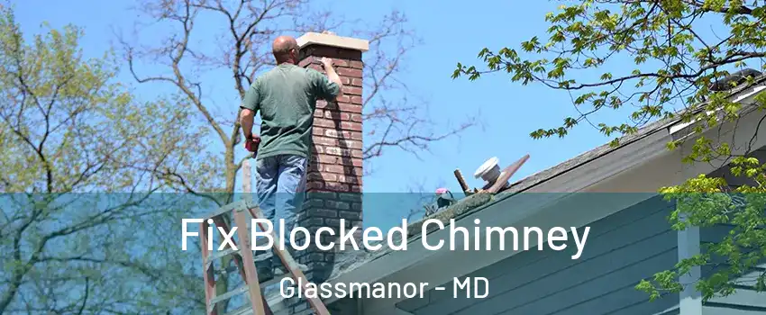  Fix Blocked Chimney Glassmanor - MD