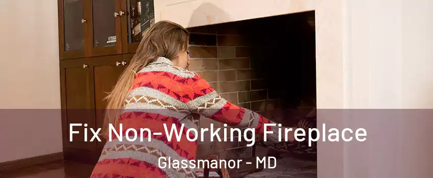  Fix Non-Working Fireplace Glassmanor - MD