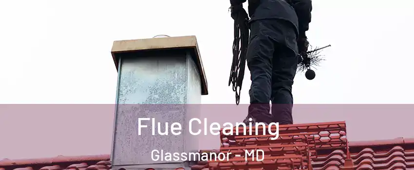  Flue Cleaning Glassmanor - MD