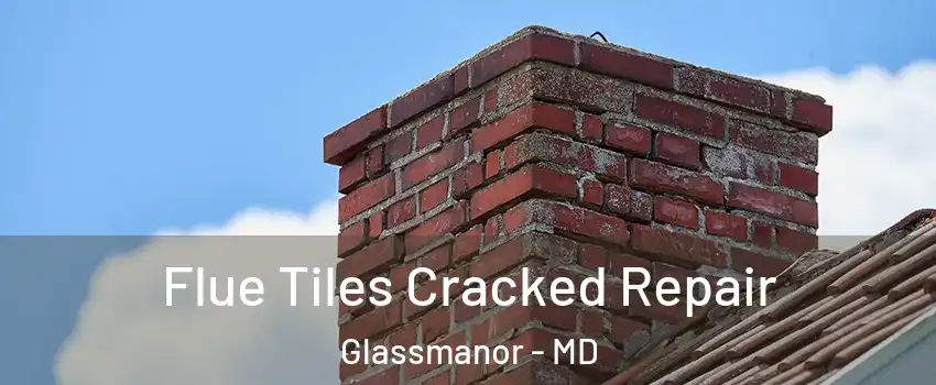 Flue Tiles Cracked Repair Glassmanor - MD