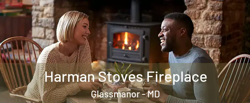  Harman Stoves Fireplace Glassmanor - MD
