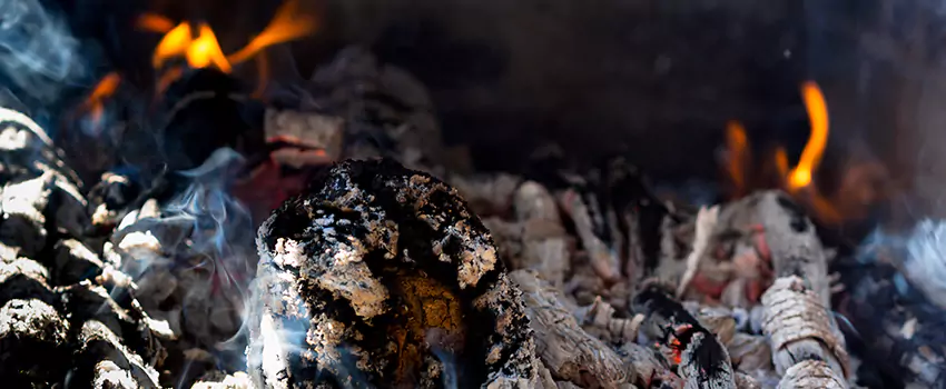 Creosote Removal Experts in Glassmanor, MD