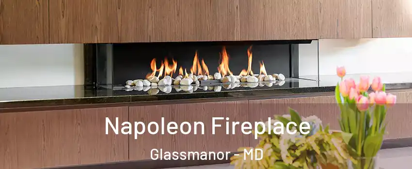  Napoleon Fireplace Glassmanor - MD