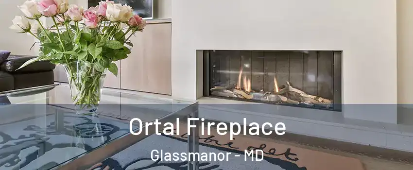  Ortal Fireplace Glassmanor - MD
