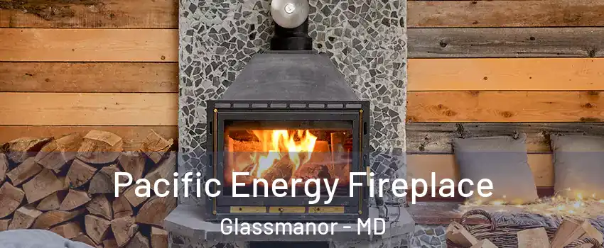  Pacific Energy Fireplace Glassmanor - MD