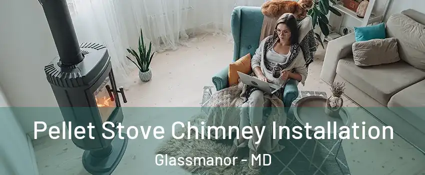  Pellet Stove Chimney Installation Glassmanor - MD