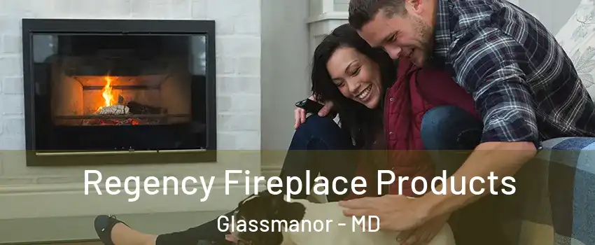  Regency Fireplace Products Glassmanor - MD