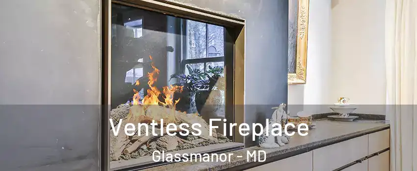  Ventless Fireplace Glassmanor - MD